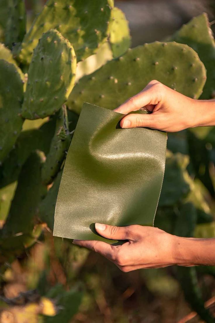 Miselyumdan üretilmiş vegan deri çanta detayı, sürdürülebilir moda trendleri