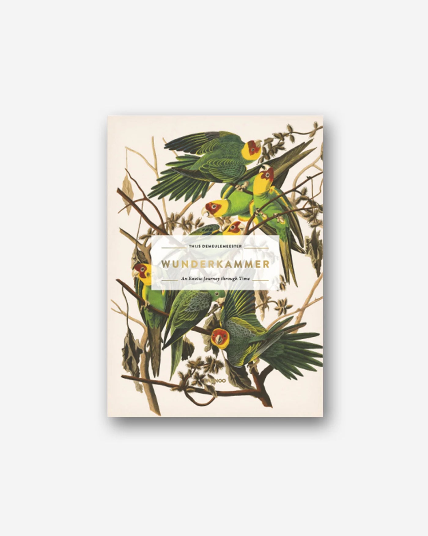 Wunderkammer : An Exotic Journey Through Time