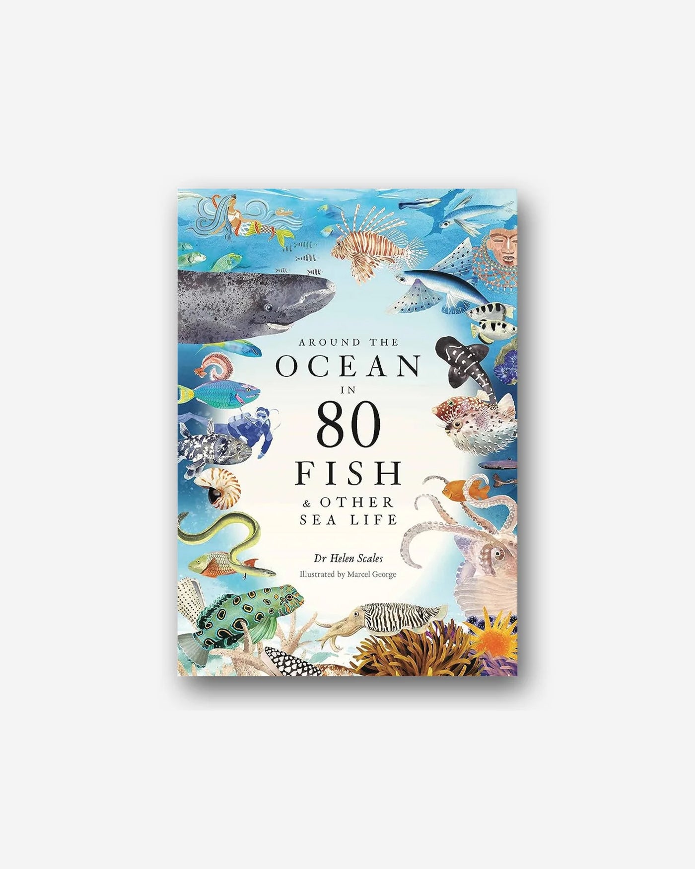Around the Ocean in 80 Fish and other Sea Life