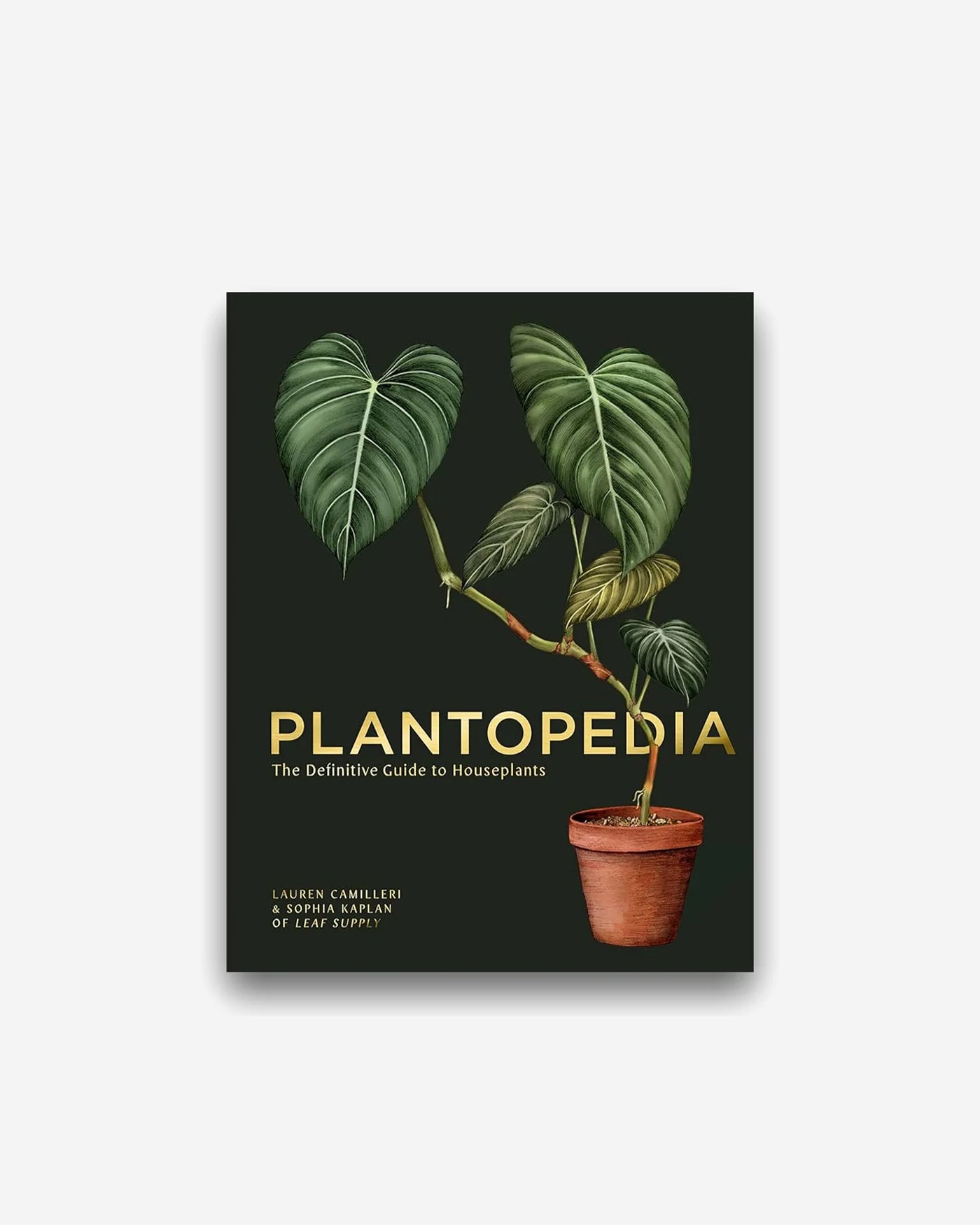 Plantopedia: The Definitive Guide to House Plants