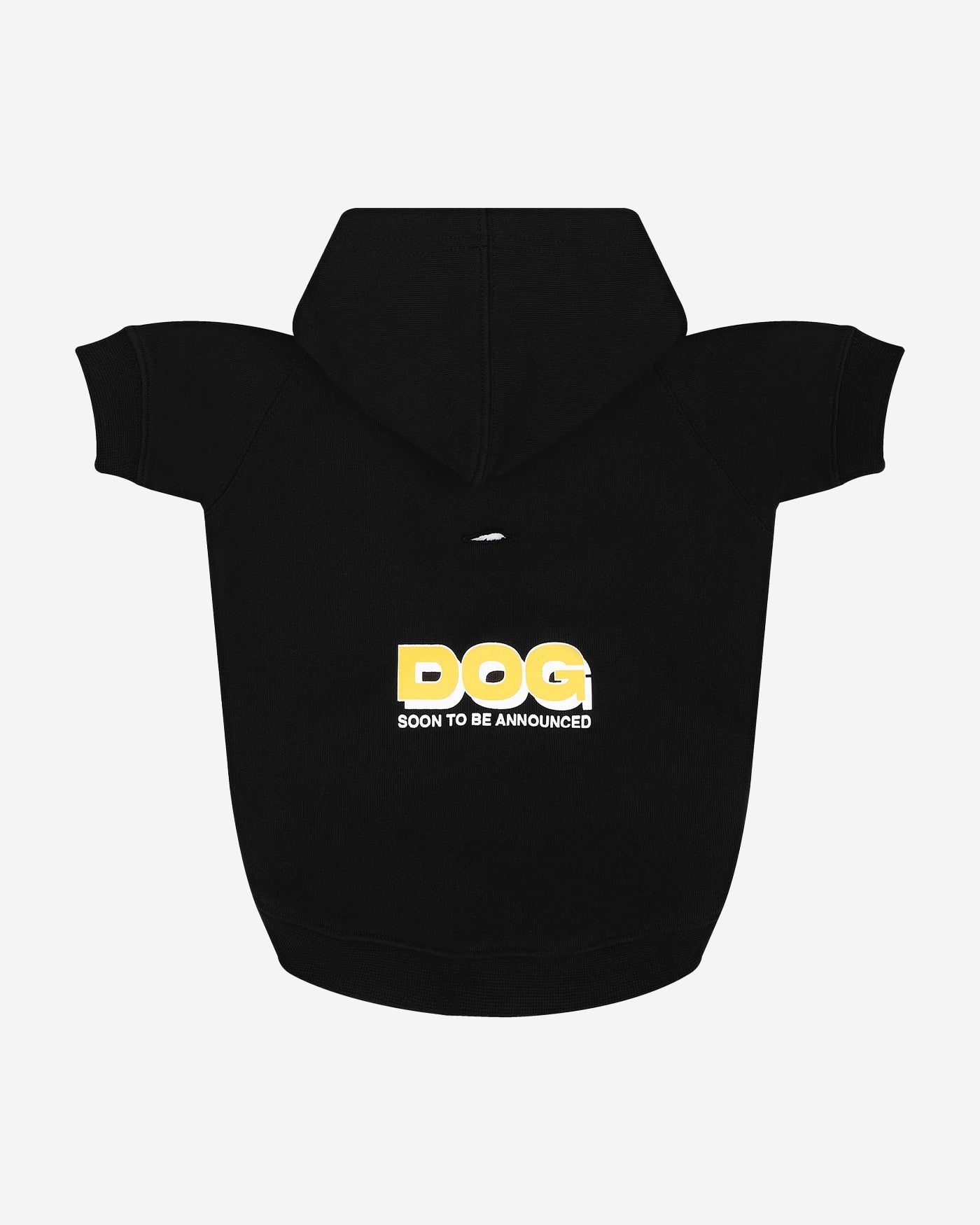 Dog Walker Pet